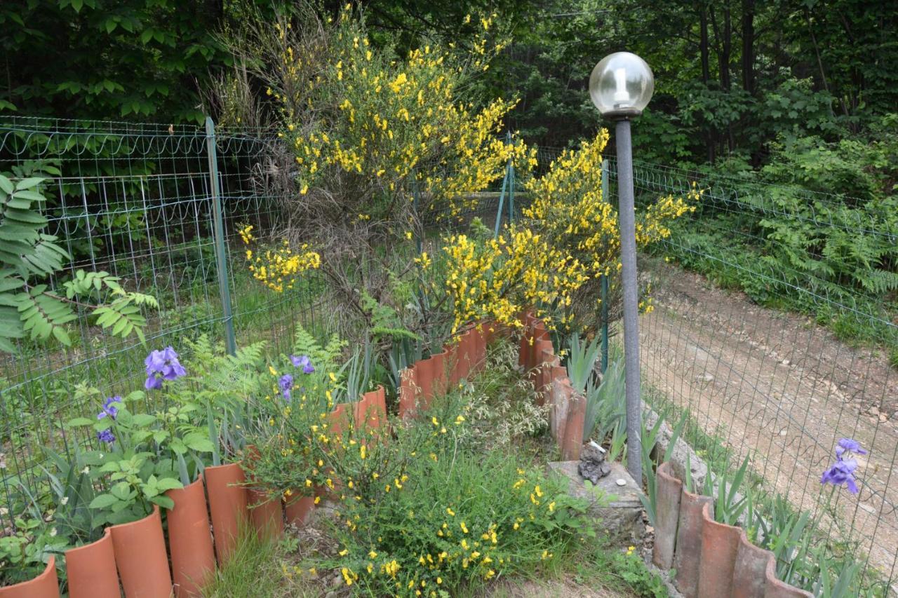 Casa Omnia B&B Castellamonte Extérieur photo